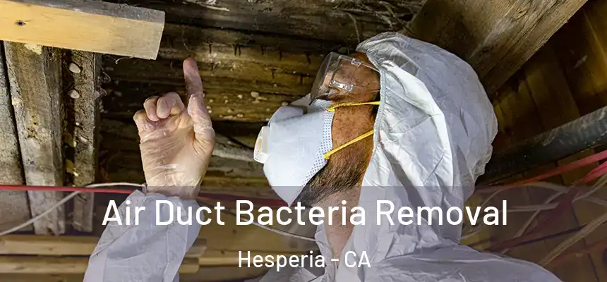 Air Duct Bacteria Removal Hesperia - CA