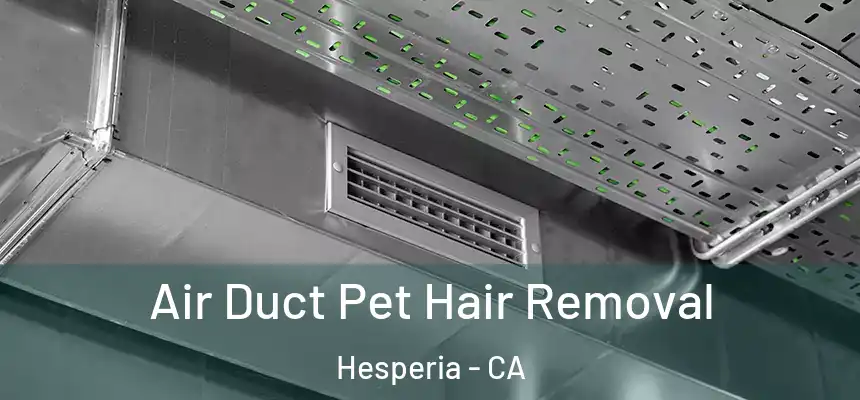 Air Duct Pet Hair Removal Hesperia - CA