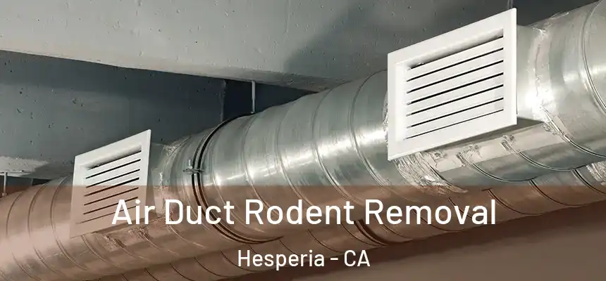 Air Duct Rodent Removal Hesperia - CA