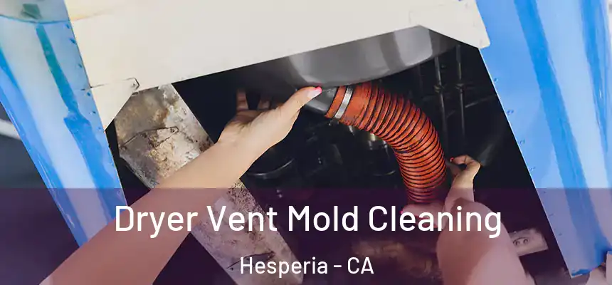 Dryer Vent Mold Cleaning Hesperia - CA