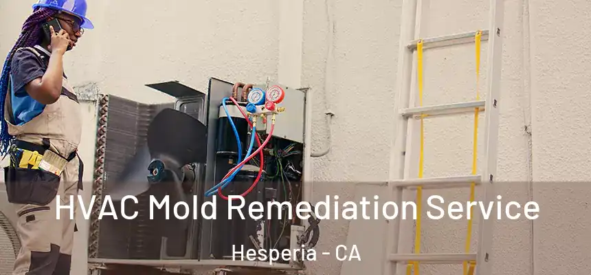 HVAC Mold Remediation Service Hesperia - CA