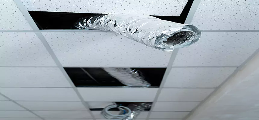 Affordable HVAC Sanitizing After Pest Removal in Hesperia