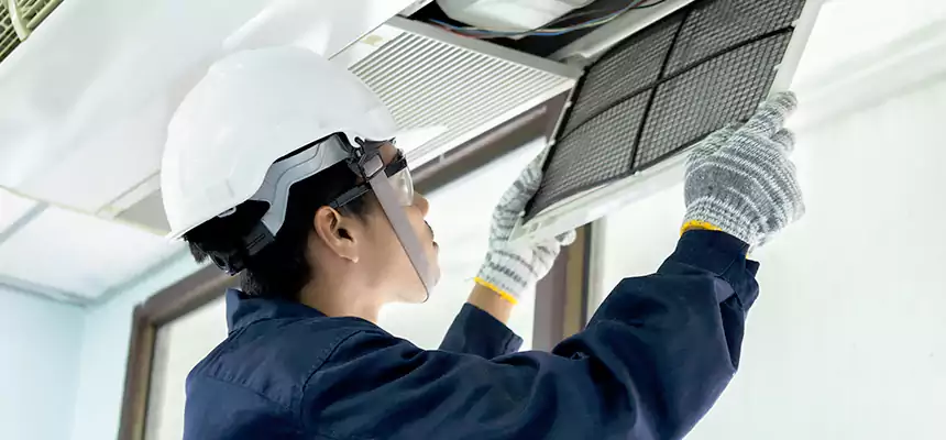 Our Mold & Mildew Removal from Air Ducts Services in Hesperia, CA