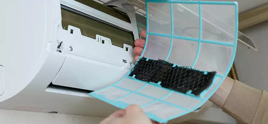 Gentle Ductwork Odor-Control Pet Dander Duct Cleaning in Hesperia, CA