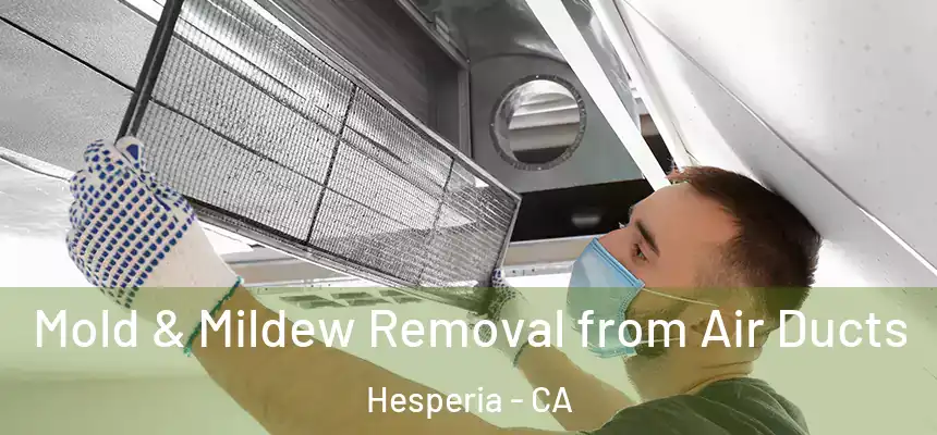  Mold & Mildew Removal from Air Ducts Hesperia - CA
