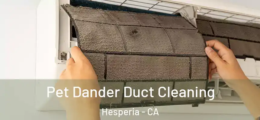  Pet Dander Duct Cleaning Hesperia - CA
