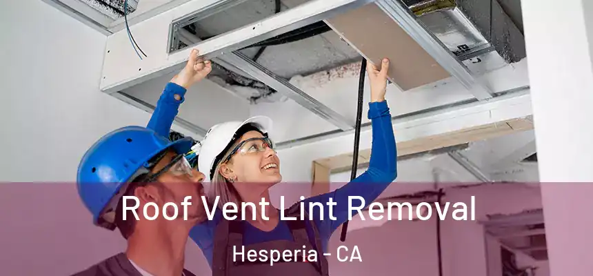 Roof Vent Lint Removal Hesperia - CA