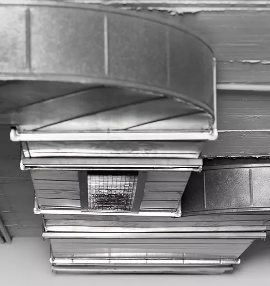 Professional Air Duct Pest Removal in Hesperia, CA