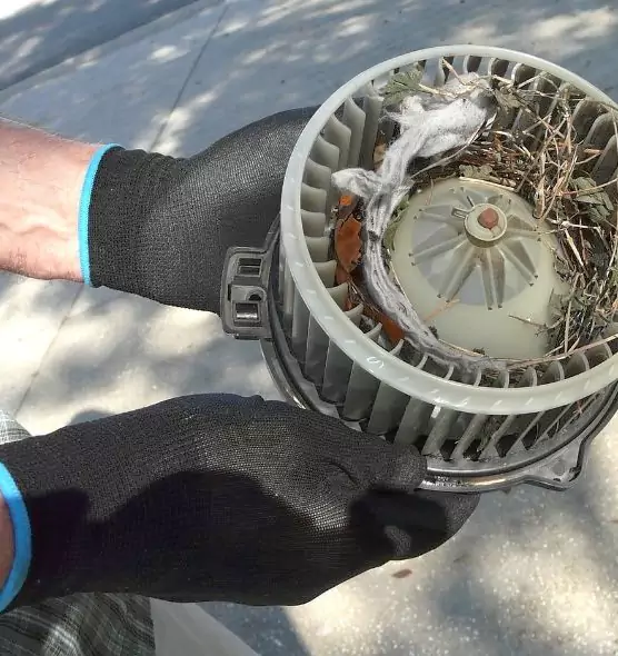 About Air Duct Rat Removal in Hesperia, CA