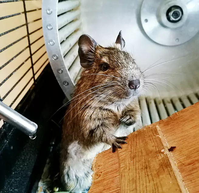 Why Homeowners & Businesses Trust Us Hesperia, CA